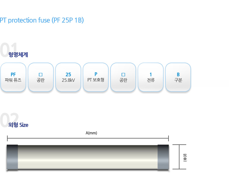PT protection fuse (PF 25P 1B)
