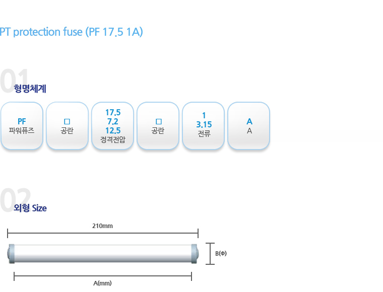 PT protection fuse (PF 25P 1B)