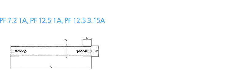 PT protection fuse (PF 25P 1B)