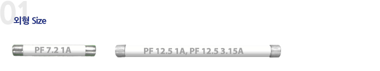 PT protection fuse (PF 25P 1B)